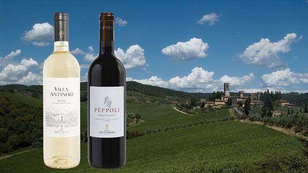 エノテカアプリを使ってワイン産地を学ぶテイスティングセミナー【イタリア・トスカーナ編】ワイン2種