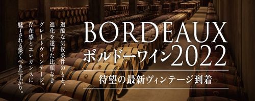 ブログメイン画像
