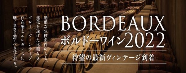 メインブログ画像