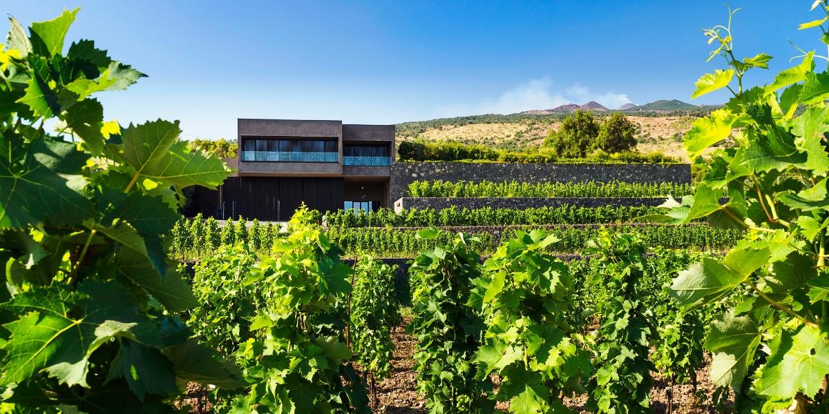 PIETRADOLCE / ピエトラドルチェ