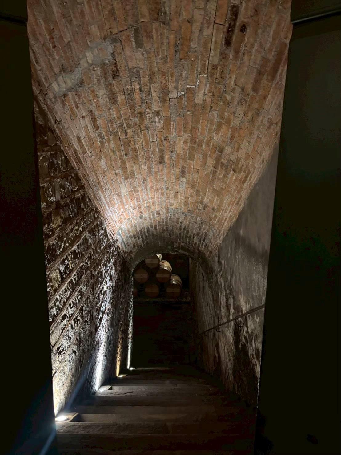 ワイナリー訪問記１１【テヌータ・ティニャネロ】