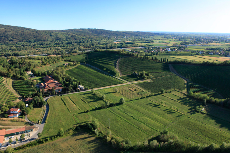 「現代イタリア白ワインの聖地」フリウリを世に広めた名手