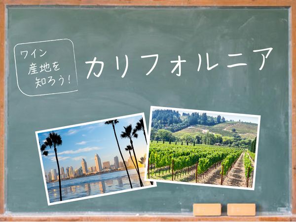 【ワイン産地を知ろう】カリフォルニアワインの特徴