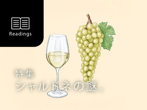シャルドネの謎。