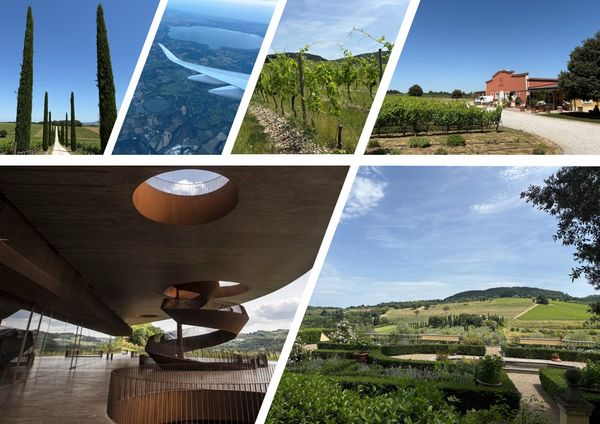 TRIP! ANTINORI
