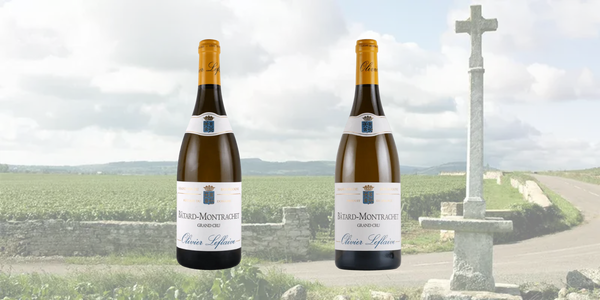 11月21日(金）～　バタール・モンラッシェ 2グラスセット