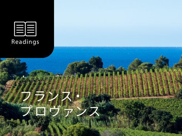 ワイン産地を知ろう！プロヴァンス