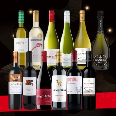 ブラックフライデー スペシャルボックスA (赤白泡12本)