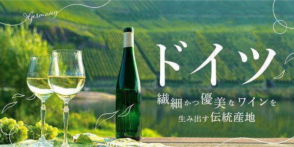 【ドイツワイン特集】ドイツ白ワイン2種セット