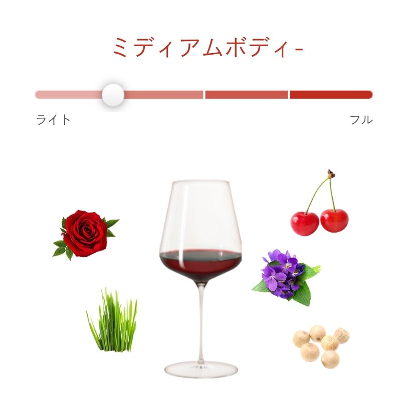 ジュヴレ・シャンベルタン ヴィエイユ・ヴィーニュ [ハーフボトル