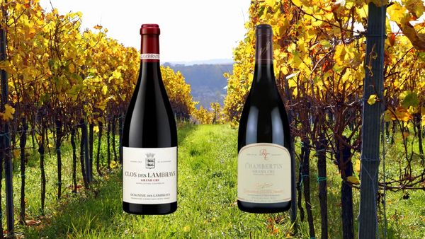 【大名古屋ビルヂング店10周年特別テイスティング】ブルゴーニュ愛好家垂涎のグラン・クリュ2種テイスティング