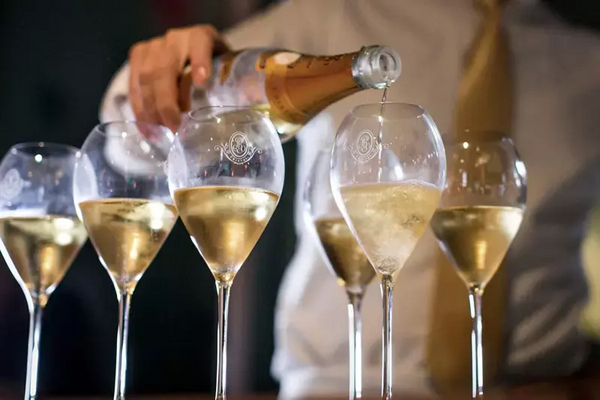 11月14日（金）～ 11月16日（日）【先行体験】ルイ・ロデレール コレクション 245・246比較