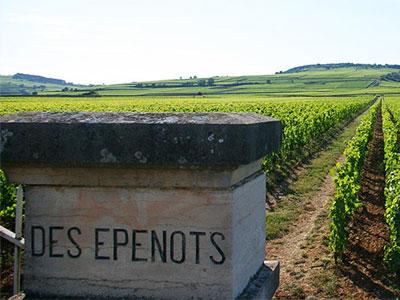 ドメーヌ・ド・クルセル / DOMAINE DE COURCEL