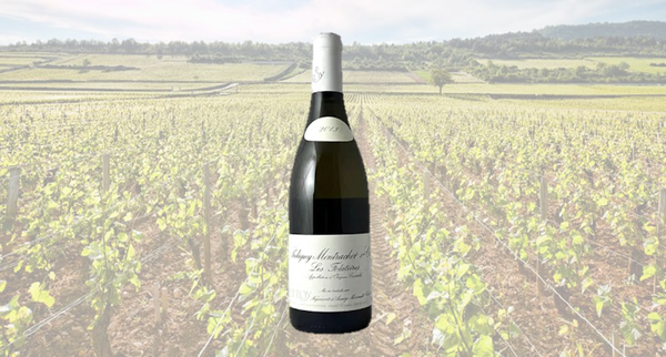 5月1日(金)～メゾン・ルロワの一級畑フォラティエールを愉しむ