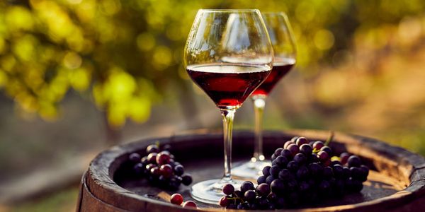 ムルソーの名手『コント・ラフォン』が造る2022年ヴォルネイ・サントノ・デュ・ミリュー