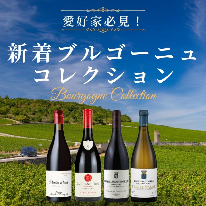 新着ブルゴーニュコレクション