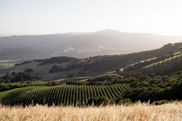 キスラー・ヴィンヤーズ / KISTLER VINEYARDS