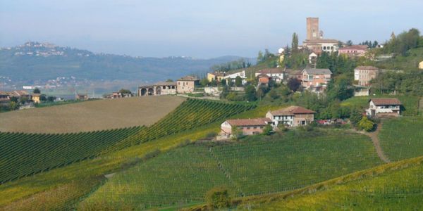 プロドゥットーリ・デル・バルバレスコ / PRODUTTORI DEL BARBARESCO