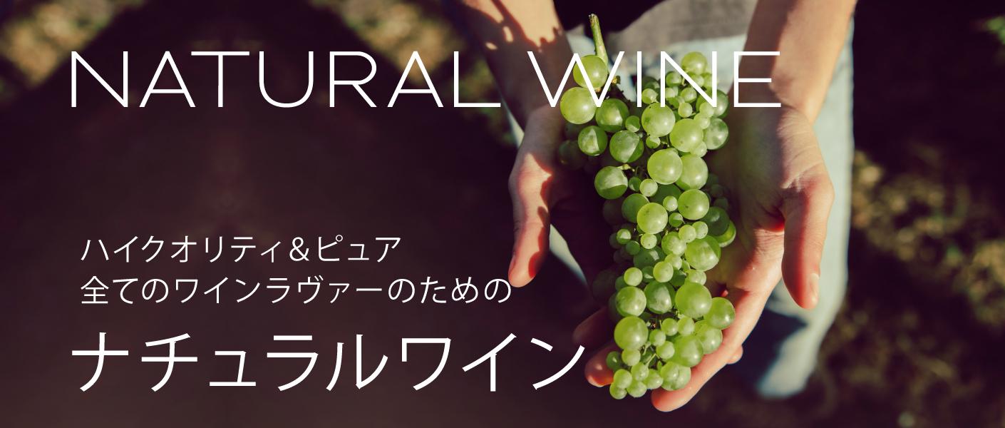 ENOTECA エノテカ　パーティーパック 赤だけ8本  [750ml x 8] ENOTECA エノテカ パーティーパック 赤だけ8本 [750ml x 8]
