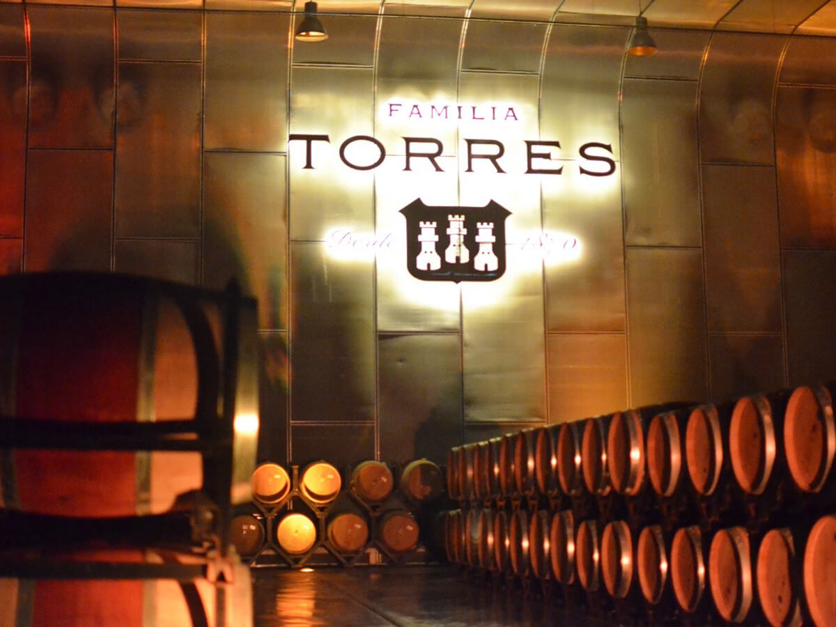 ワイン産業を牽引するグリーンカンパニー「トーレス」