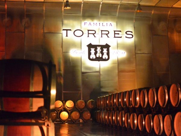 スペインの名門トーレスが誇る『MAS LA PLANA』の魅力を発見