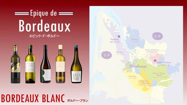 Epique de Bordeaux「エピック・ド・ボルドー」