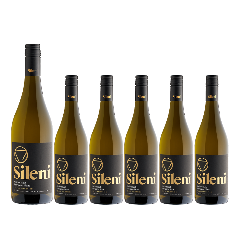 おトクに楽しむ！セラー・セレクション・ソーヴィニヨン・ブラン 6本