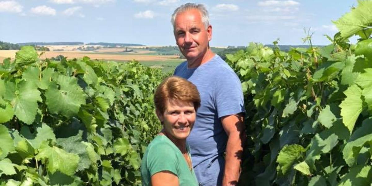 テヴネ・ドルーヴァン