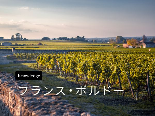 ワイン産地を知ろう！ボルドー