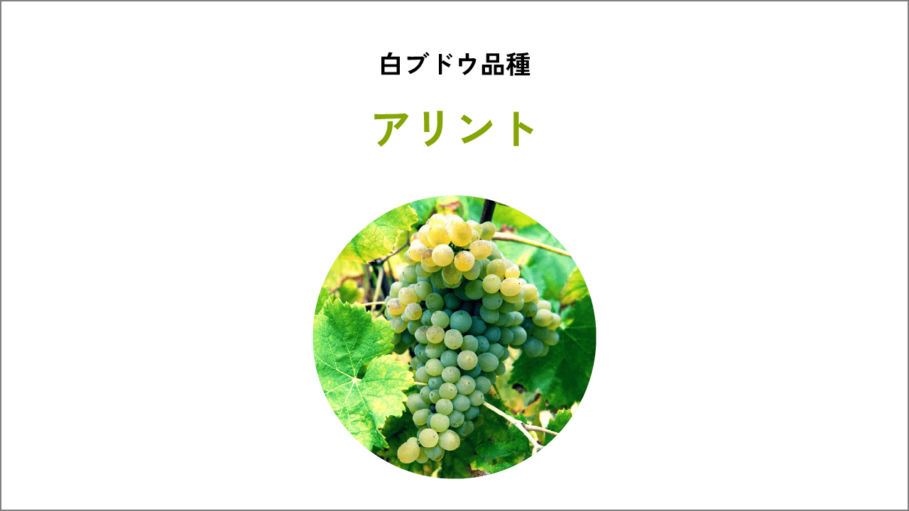 アリント