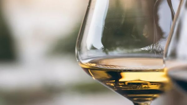 染谷はピエモンテラヴァーを増やしたい～ピエモンテの白も飲んで欲しい！～