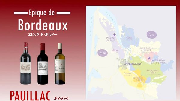 Epique de Bordeaux「エピック・ド・ボルドー」