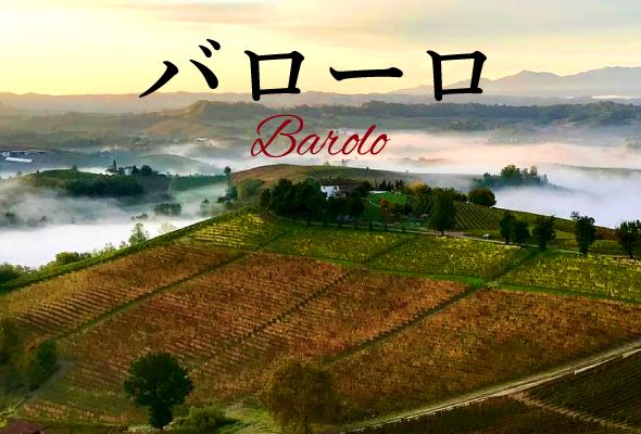 【2025年】おすすめバローロ【ソムリエ厳選】