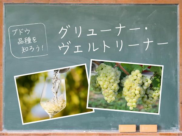 【ブドウ品種を知ろう】グリューナー・ヴェルトリーナーとは？
