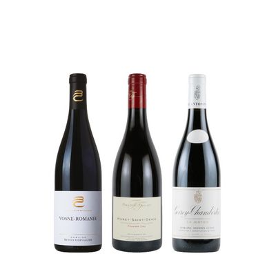 【6セット限定！】ブルゴーニュの銘醸地 コート・ド・ニュイ PH11-1 [750ml x 3]