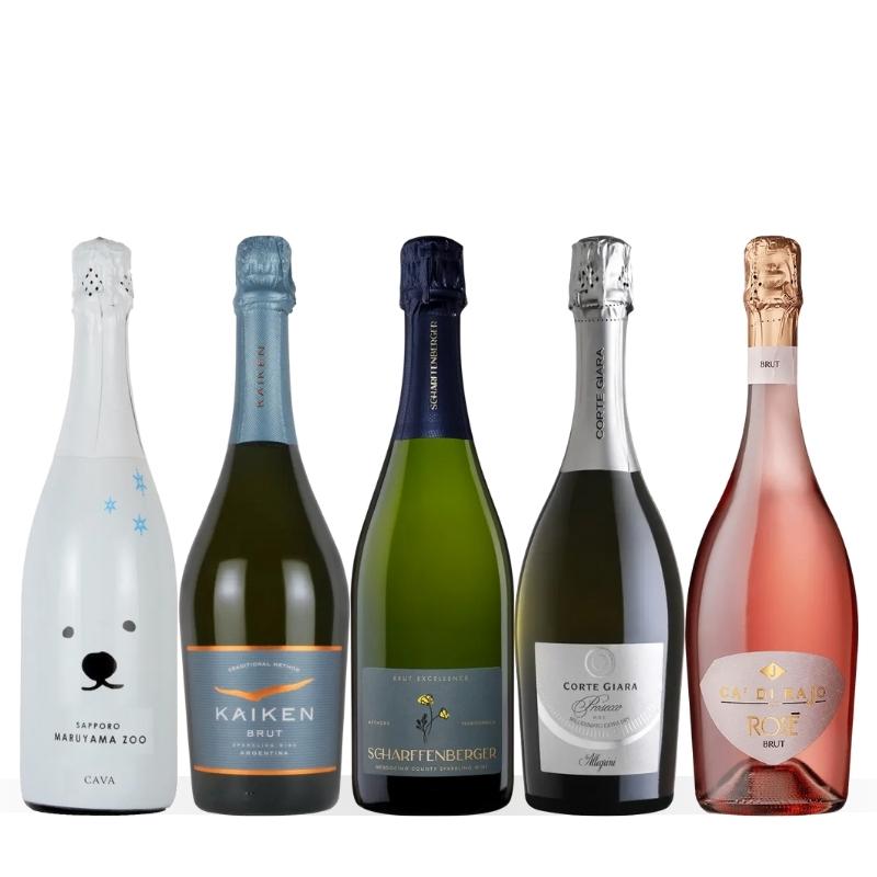 泡好き必見！スパークリングワイン5本セット UP10-1 [750ml x 5]