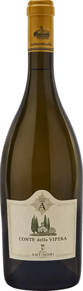 コンテ・デッラ・ヴィペラ