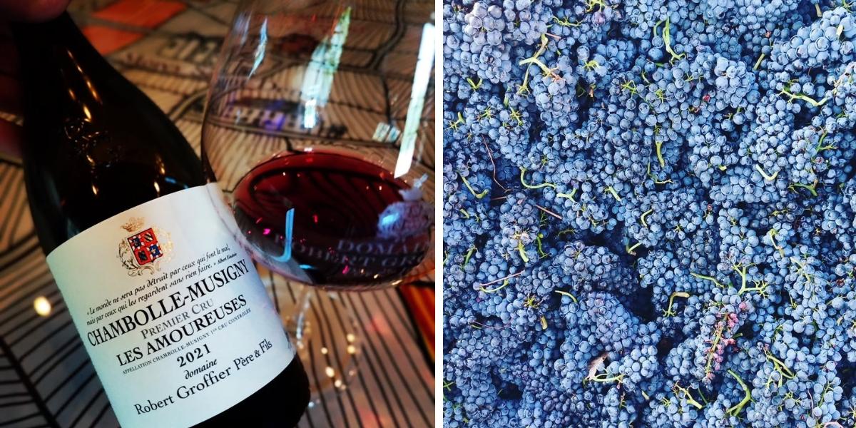 glass and grapes