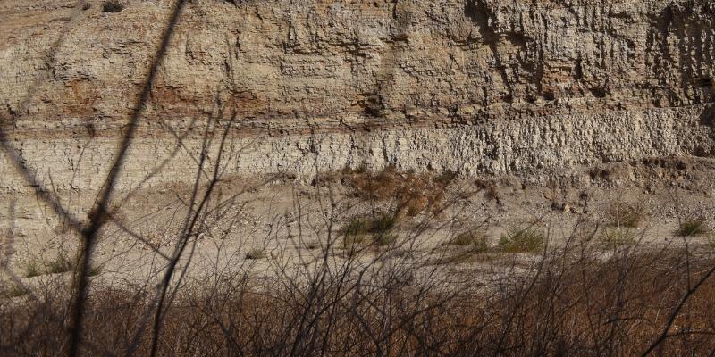 古代の海底由来の頁岩や珪藻土が含まれる地層
