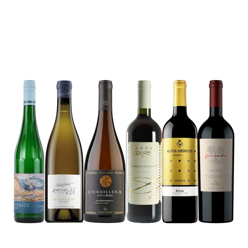 人気品種飲み比べ赤白6本セット HR10-1 [750ml x 6]