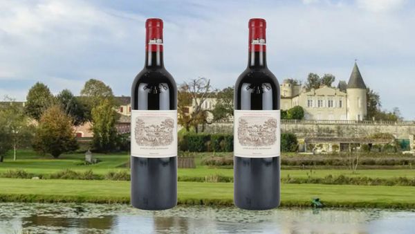 【大名古屋ビルヂング店10周年特別テイスティング】熟成ボルドーを堪能　シャトー・ラフィット・ロスチャイルド垂直テイスティング