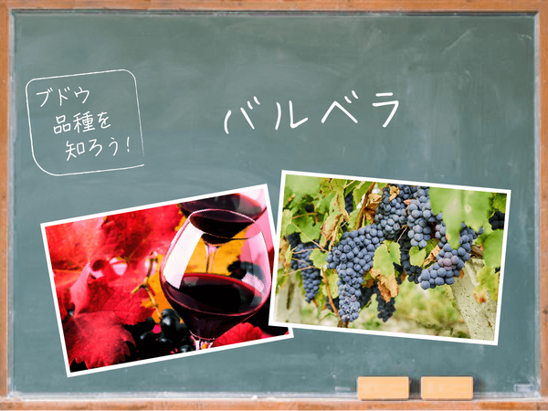 【ブドウ品種を知ろう】バルベラとは？