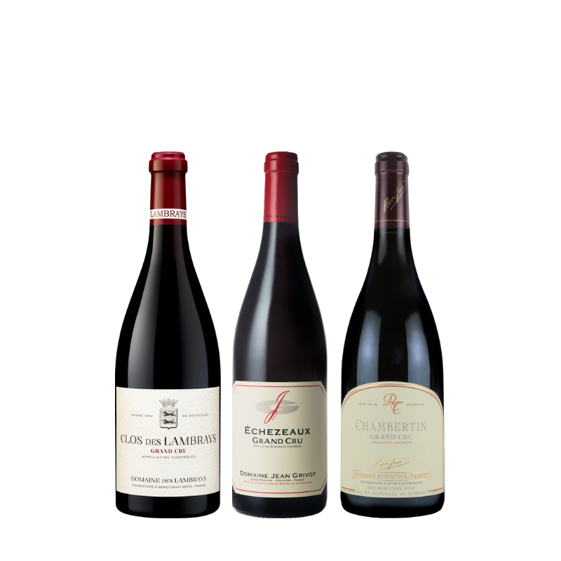 ブルゴーニュの特級畑を堪能！ 至高の赤ワイン3本セット GV5-1 [750ml
