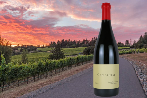 ブログメイン画像