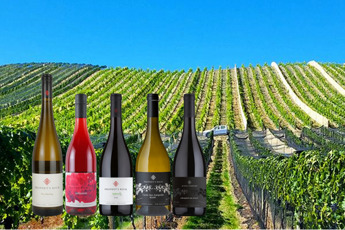 ブログメイン画像