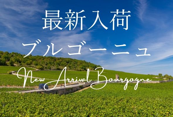 最新入荷ブルゴーニュ