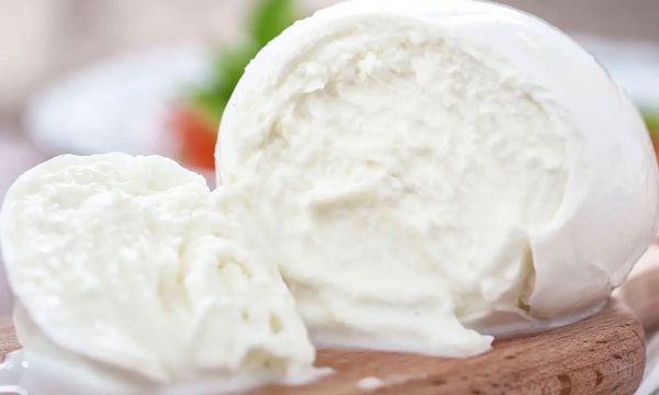 新鮮さが要！フレッシュチーズの魅力