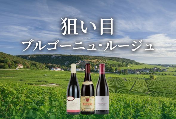 Around 5,000円台から厳選！狙い目ブルゴーニュ・ルージュ