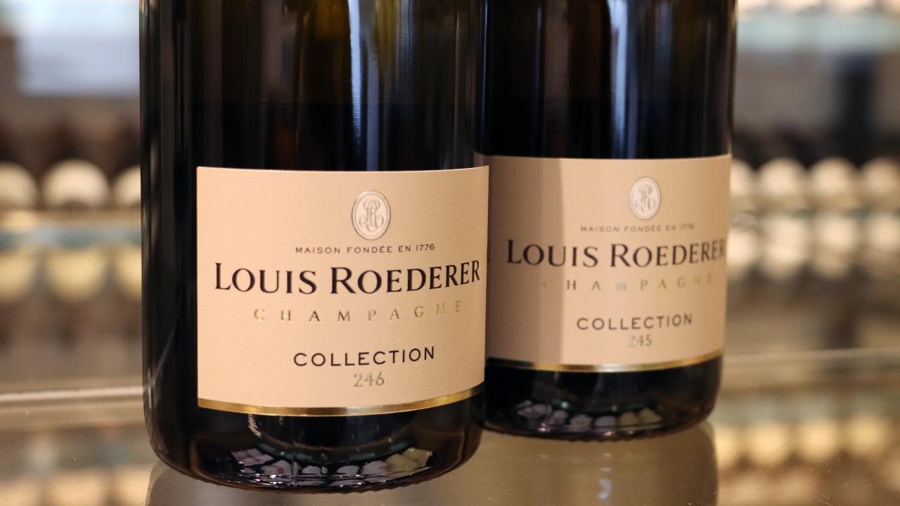 コレクション246と245