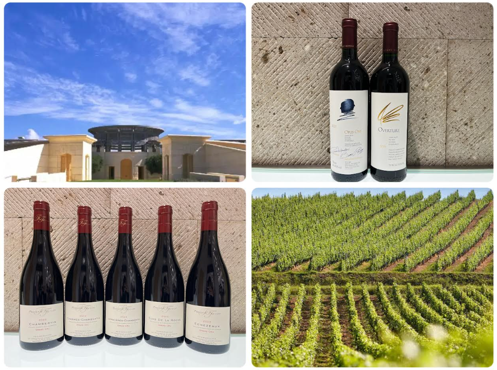 10月第1週目スペシャルテイスティングのご案内☆